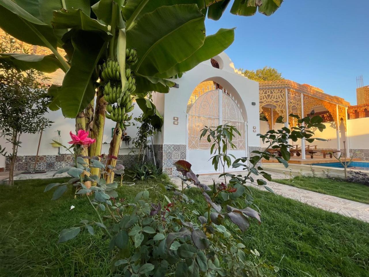 Villa Kemet Jazirat al Awwamiyah Exterior foto